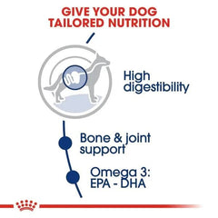 Royal Canin Maxi Adult Dry Dog Food - dspetstore.com