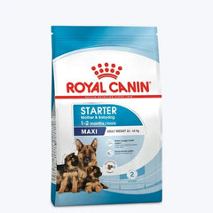 Royal Canin Maxi Starter Mother & Babydog food package on a white background