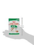Royal Canin Mini Adult Wet Dog Food - dspetstore.com