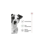 Royal Canin Mini Adult Wet Dog Food - dspetstore.com