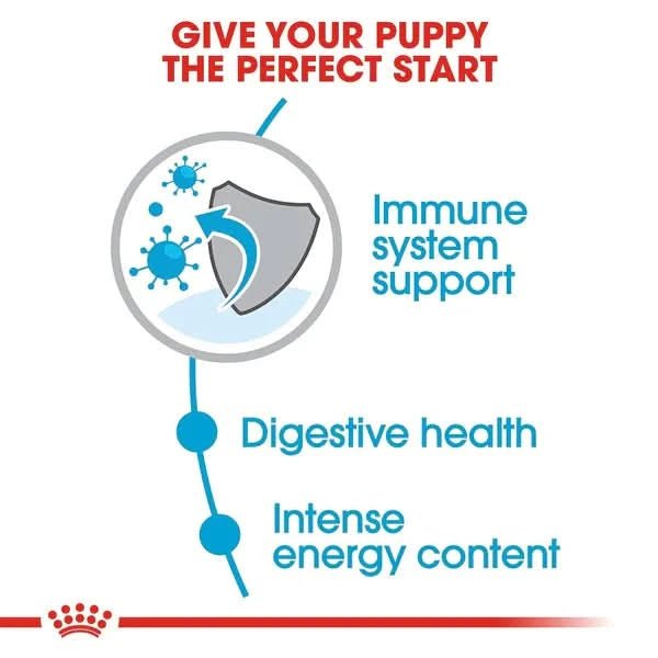Advertisement for a puppy food product highlighting immune system support, digestive health, and energy content.