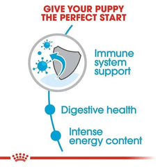 Advertisement for a puppy food product highlighting immune system support, digestive health, and energy content.