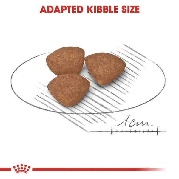 Three pieces of brown kibble on a white plate with a measurement scale indicating 1cm, branded with a red logo at the bottom.