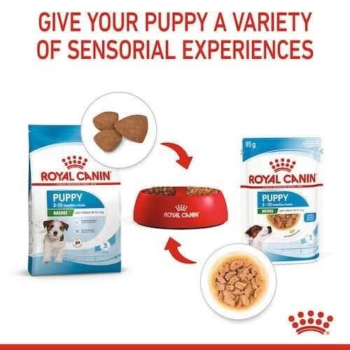 Royal Canin Mini Puppy Wet Dog Food - dspetstore.com