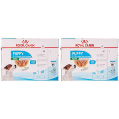 Royal Canin Mini Puppy Wet Dog Food - dspetstore.com