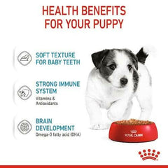 Royal Canin Mini Puppy Wet Dog Food - dspetstore.com