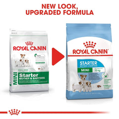 Two packages of Royal Canin Mini Starter Mother & Babydog food with a red arrow and text indicating a new look and upgraded formula.
