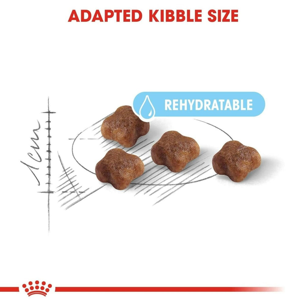 Royal Canin Mother & Baby Cat Food - dspetstore.com