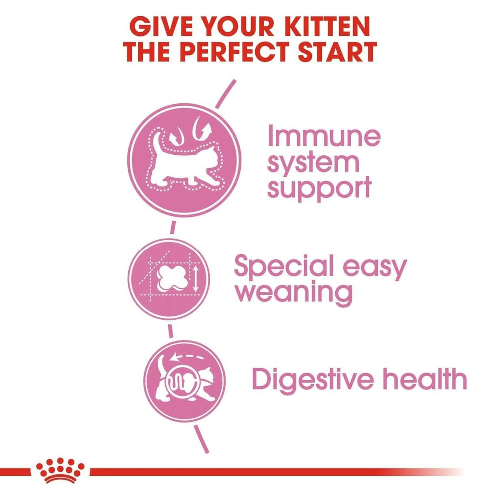 Royal Canin Mother & Baby Cat Food - dspetstore.com
