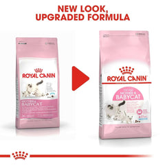 Royal Canin Mother & Baby Cat Food - dspetstore.com