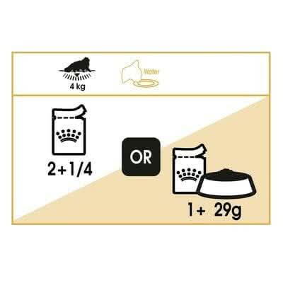 Royal Canin Persian Adult Wet Cat Food - dspetstore.com