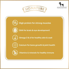 Signature Grain Zero Chicken Chunks Gravy Adult Dog Wet Food — 150 g - dspetstore.com