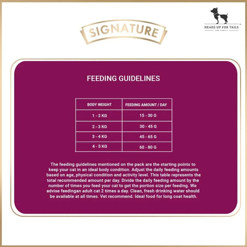 Signature Grain Zero Persian Adult Cat Food - dspetstore.com