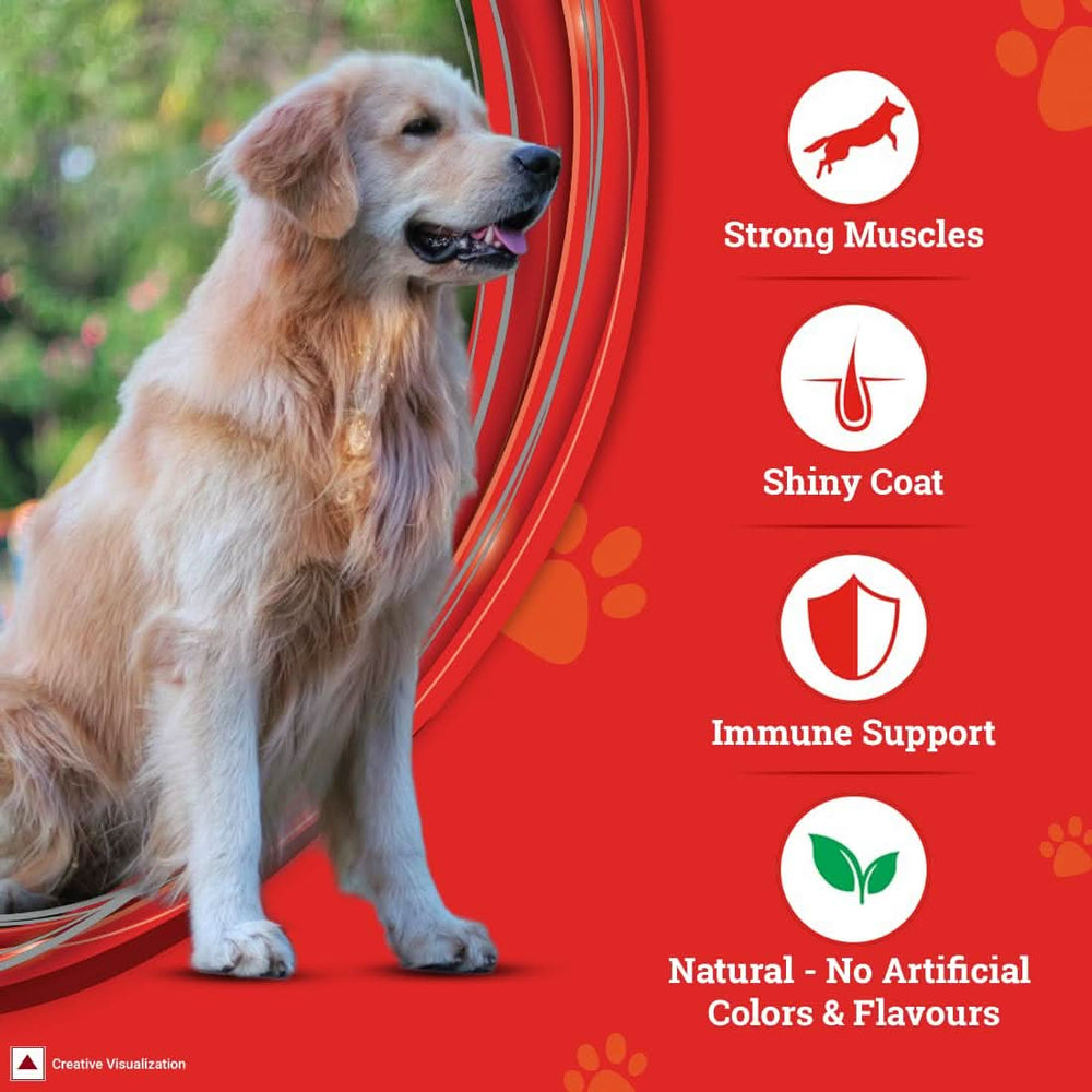 SuperCoat Chicken Adult Dog Dry Food — All Breeds - dspetstore.com