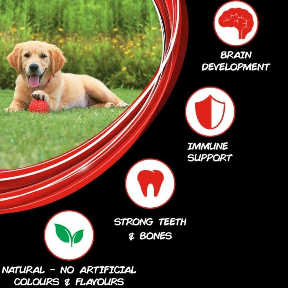 SuperCoat Chicken Puppy Dry Food - dspetstore.com