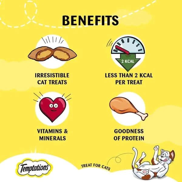 Temptations Cat Treats Salmon Flavor – Irresistible & Tasty - dspetstore.com