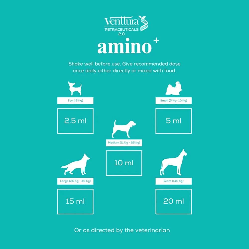 Venttura Amino Plus Syrup for Dogs – 200 ml - dspetstore.com