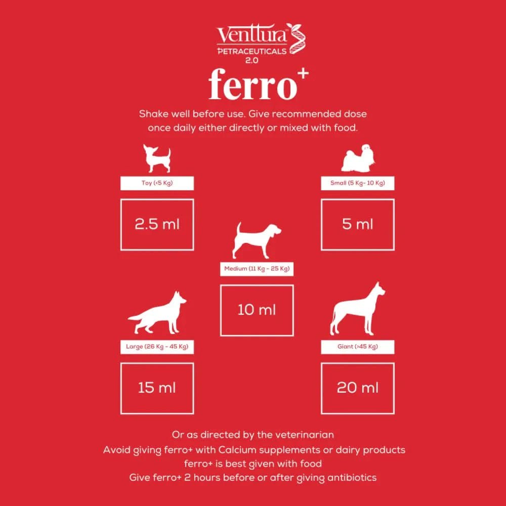 Venttura Ferro Plus Iron Supplement Syrup for Dogs – 200 ml - dspetstore.com
