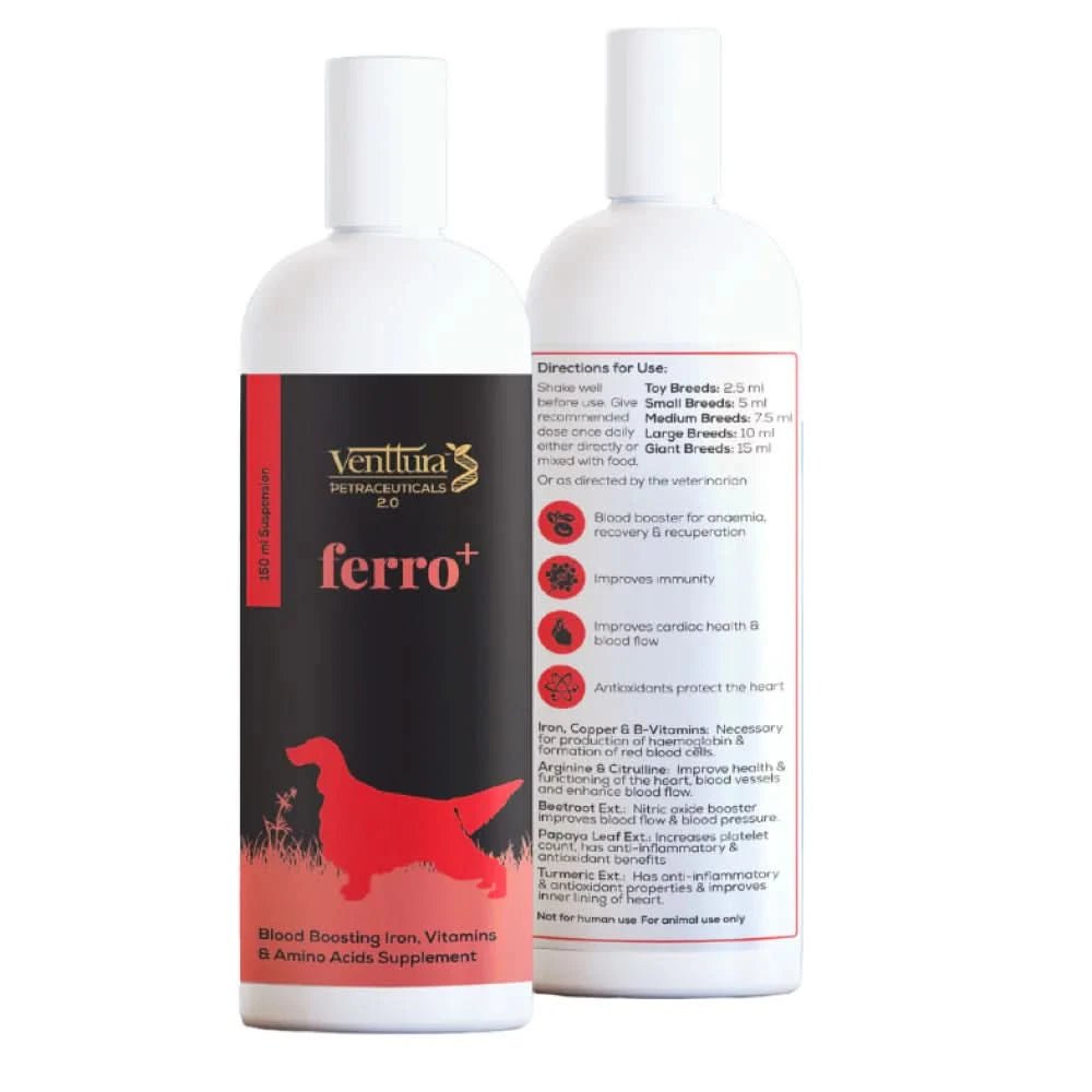 Venttura Ferro Plus Iron Supplement Syrup for Dogs – 200 ml - dspetstore.com