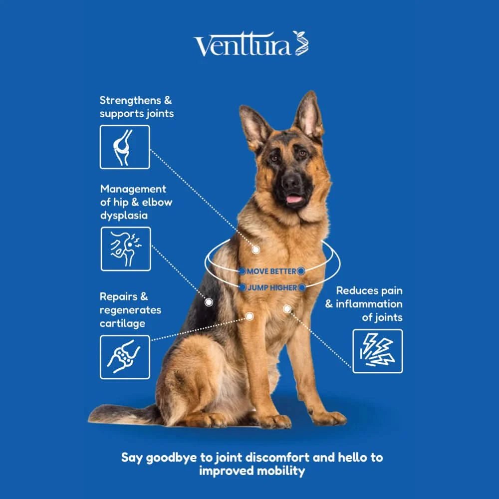 Venttura Flexi Plus Hip & Joint Chewable Supplement for Dogs – 60 Chews - dspetstore.com