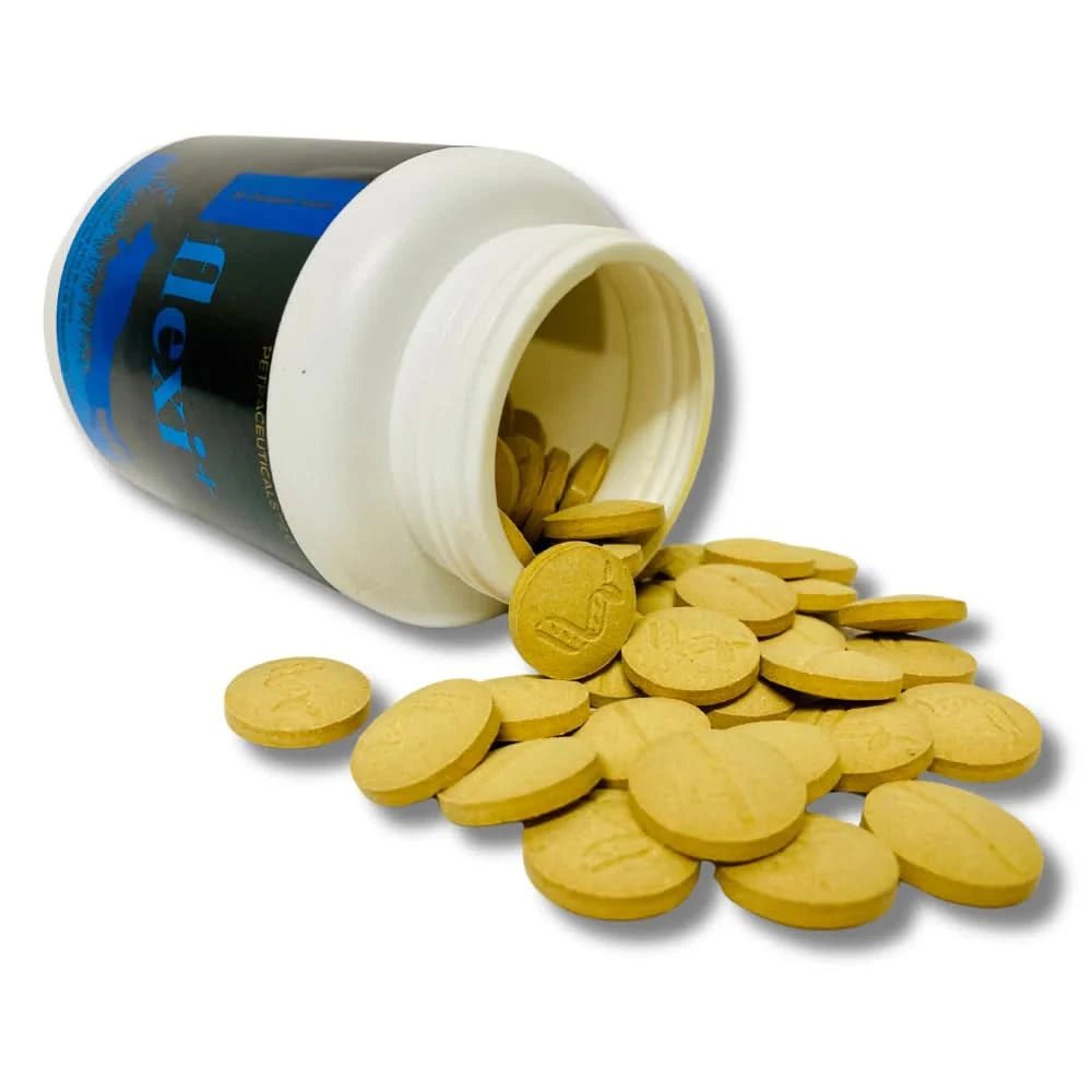 Venttura Flexi Plus Hip & Joint Chewable Supplement for Dogs – 60 Chews - dspetstore.com