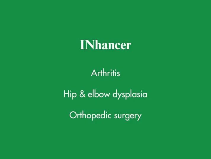 Venttura Inhancer for Dogs Hip & Joint Formula – 340g - dspetstore.com