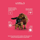 Venttura Lacto Plus Milk Boosters for Dogs – Chewable Supplement - dspetstore.com