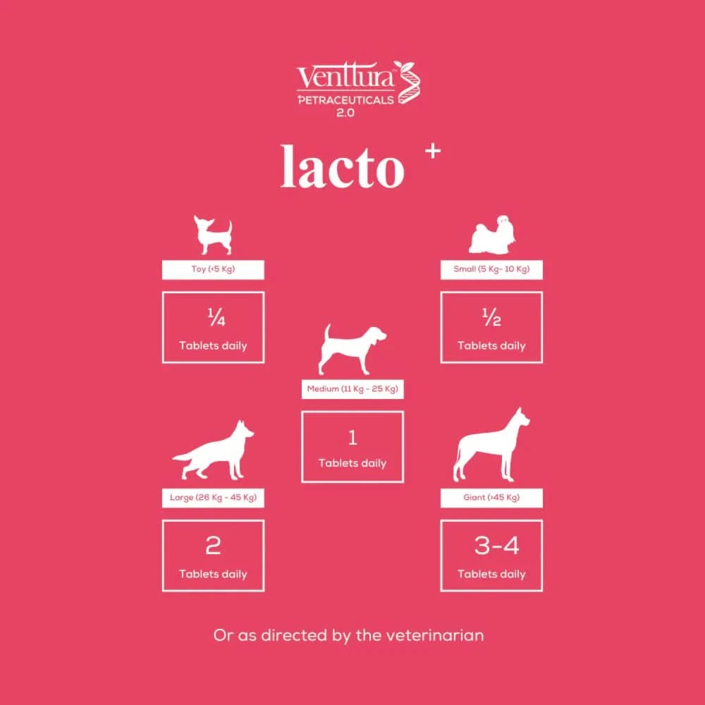 Venttura Lacto Plus Milk Boosters for Dogs – Chewable Supplement - dspetstore.com