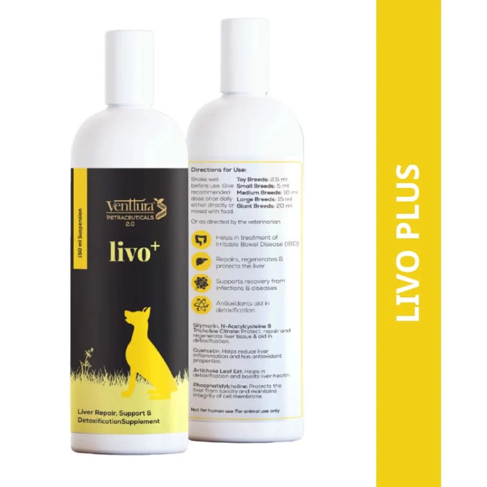 Venttura Livo Plus Liver Support Syrup for Dogs – 200ml - dspetstore.com