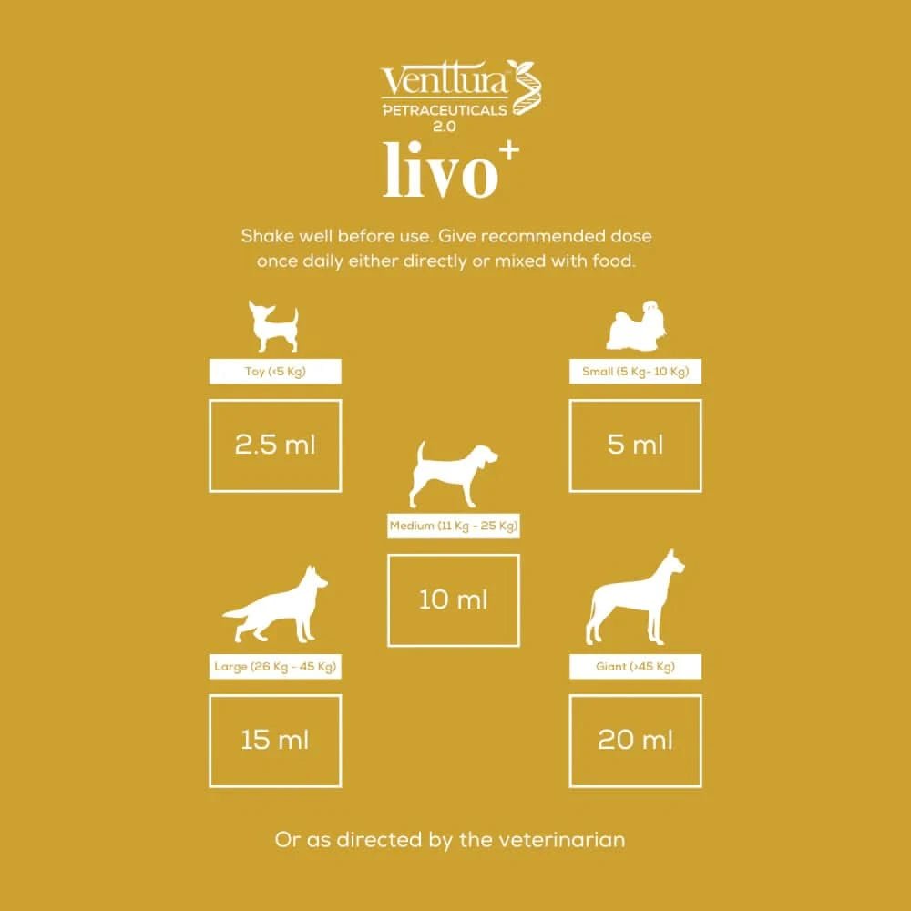 Venttura Livo Plus Liver Support Syrup for Dogs – 200ml - dspetstore.com