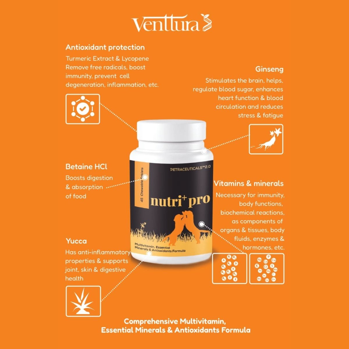 Venttura Nutri+ Pro Multi - Vitamin for Dogs – 60 Chewables - dspetstore.com