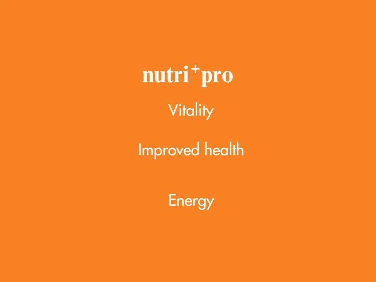 Venttura Nutri+ Pro Multi - Vitamin for Dogs – 60 Chewables - dspetstore.com