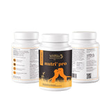 Venttura Nutri+ Pro Multi - Vitamin for Dogs – 60 Chewables - dspetstore.com