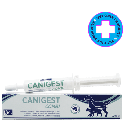 Vetina Canigest Paste for Dogs & Cats - dspetstore.com