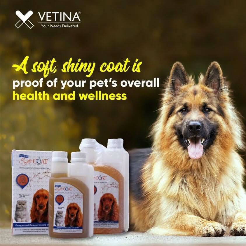 Vetina Soft Coat Syrup for Dogs and Cats (250ml) - dspetstore.com