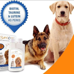 Vetina Soft Coat Syrup for Dogs and Cats (250ml) - dspetstore.com