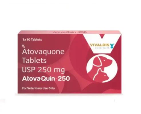 Vivaldis Atovaquin Antiprotozoal Tablets 250 mg For Dog & Cat - 10 Tablets - dspetstore.com