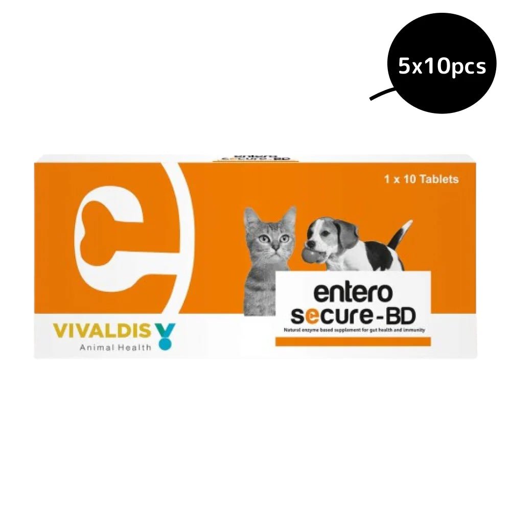 Vivaldis Entero Secure BD Tablet for Dogs and Cats - dspetstore.com