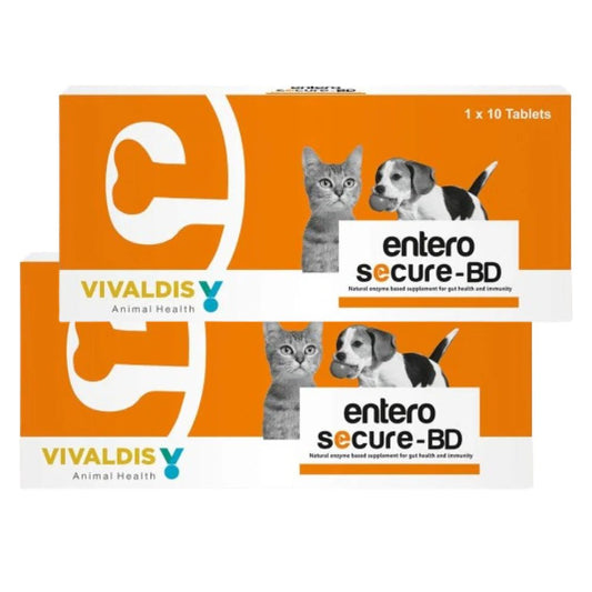 Vivaldis Entero Secure BD Tablet for Dogs and Cats - dspetstore.com