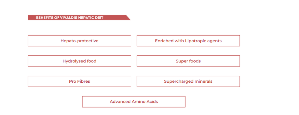 Vivaldis V Diet Hepatic Support Diet Dog Dry Food – 2kg - dspetstore.com