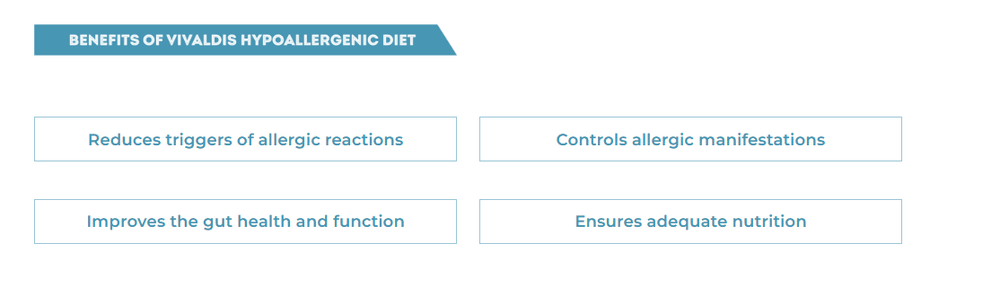 Vivaldis V Diet Hypoallergenic Dog Dry Food – 2kg - dspetstore.com