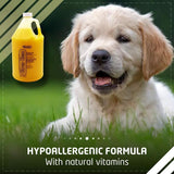 Wahl Citrus Clean Shampoo - dspetstore.com