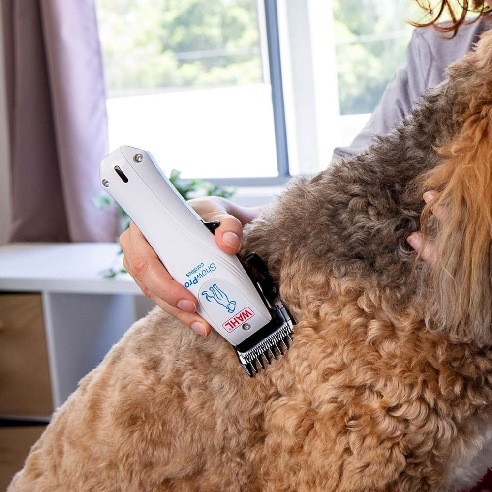 Wahl Cordless Lithium ShowPro Pet Clipper - dspetstore.com