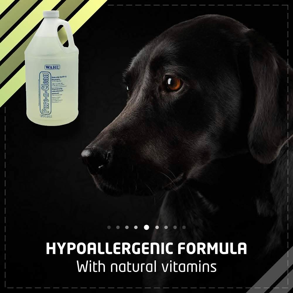 Wahl Pure - N - Clean Gallon Dog Shampoo - dspetstore.com