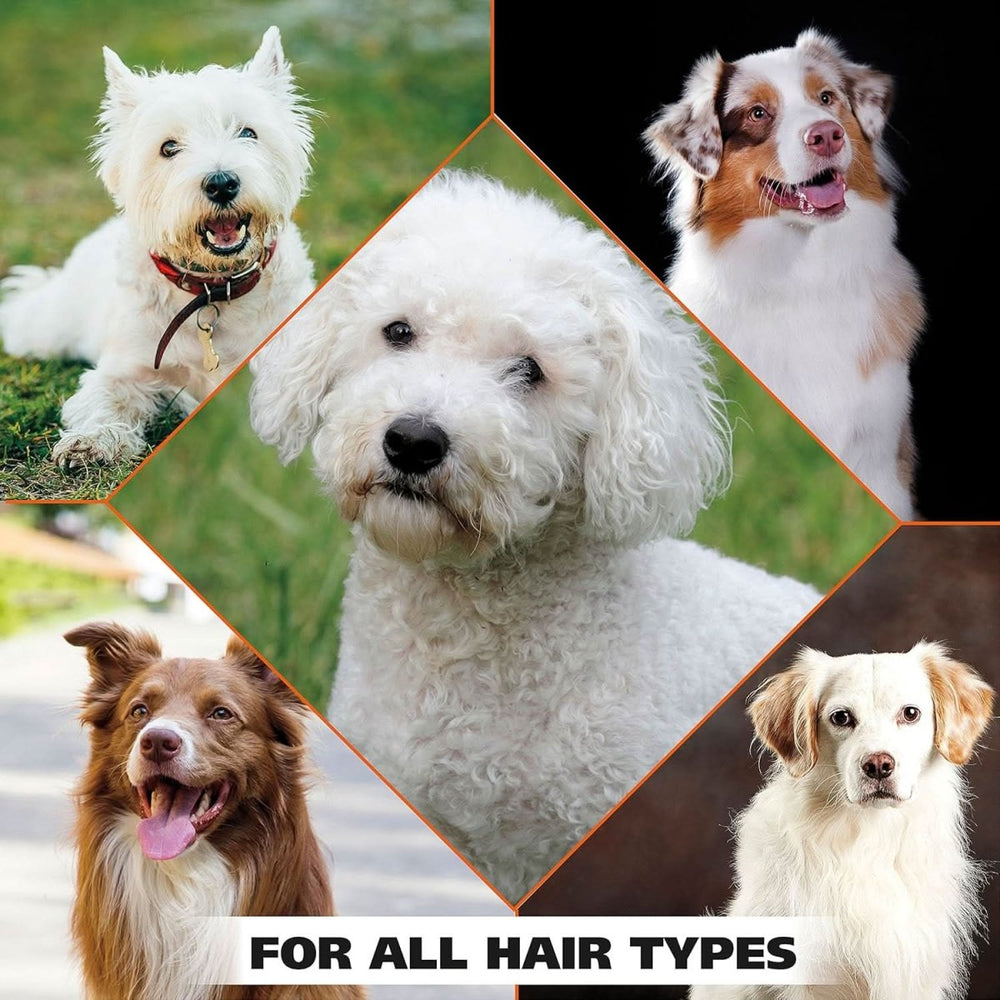 Wahl Whitening Shampoo for Dogs - dspetstore.com