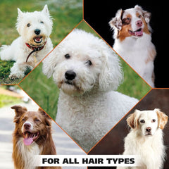 Wahl Whitening Shampoo for Dogs - dspetstore.com