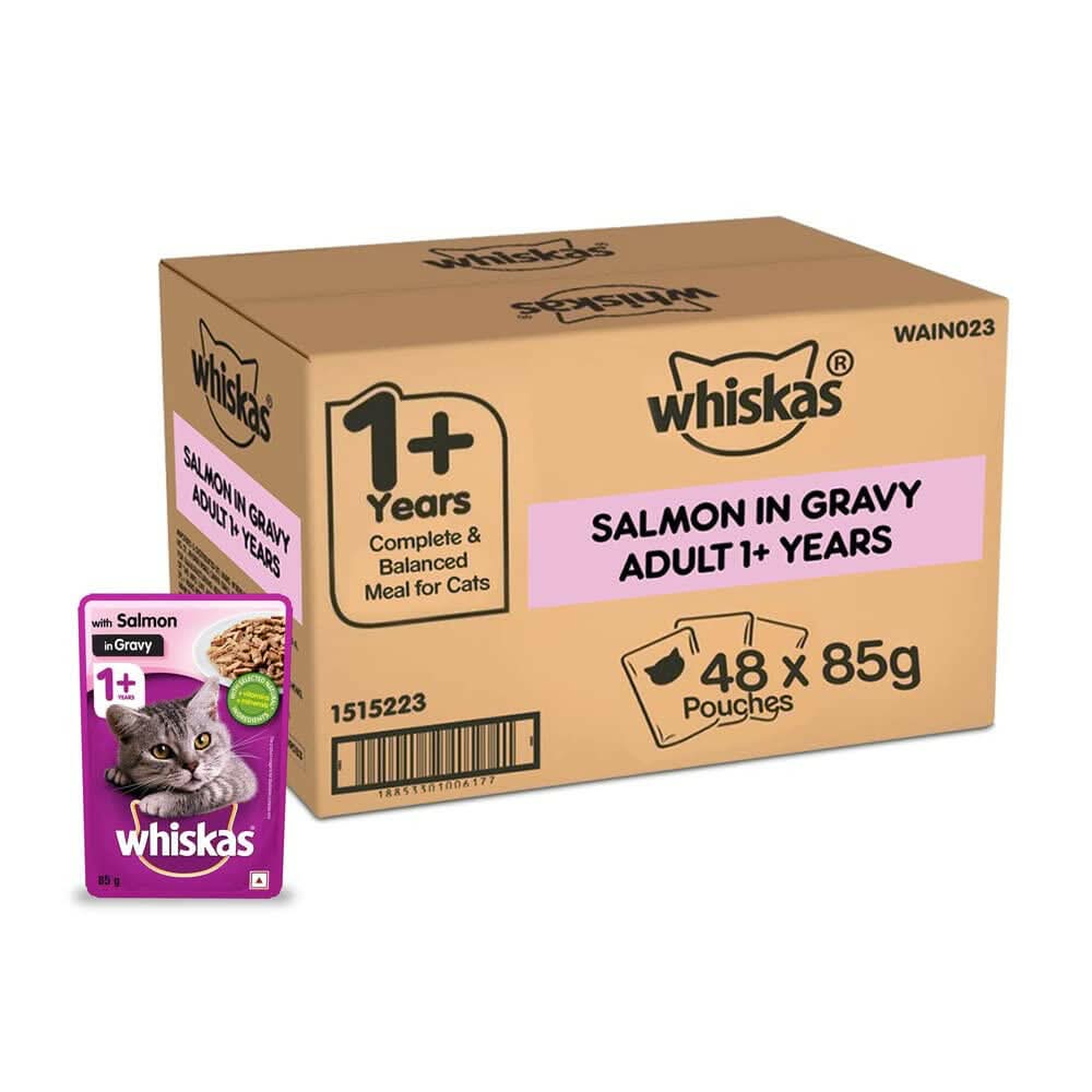 Box of Whiskas salmon in gravy cat food with a single pouch on a white background