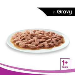 Plate of pet food in gravy with 'in Gravy' text and '1+ Years' label on a white background