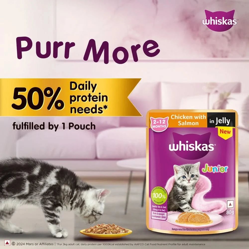 Whiskas Junior cat food pouch with a cat eating in a living room setting, featuring the Whiskas brand.