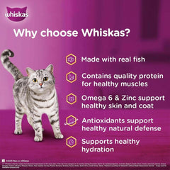 Whiskas cat food advertisement with a cat on a purple background